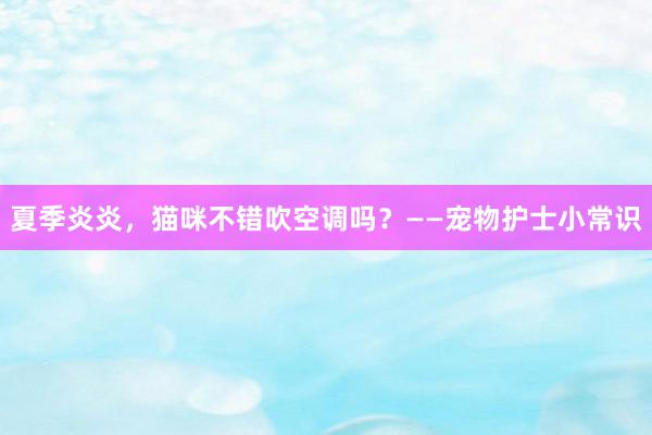 夏季炎炎，猫咪不错吹空调吗？——宠物护士小常识